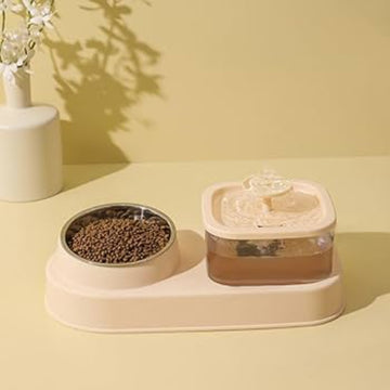 Water Fountain with Bowl