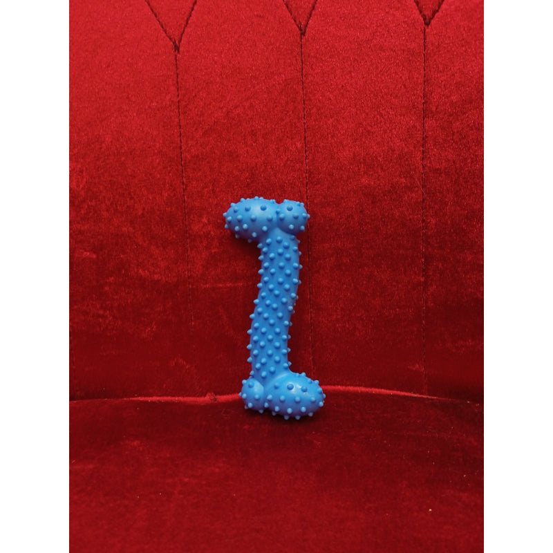 Bone Shape Teather Toy
