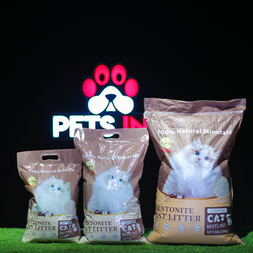 Cateez Cat Litter High‑Quality Bentonite Coffee