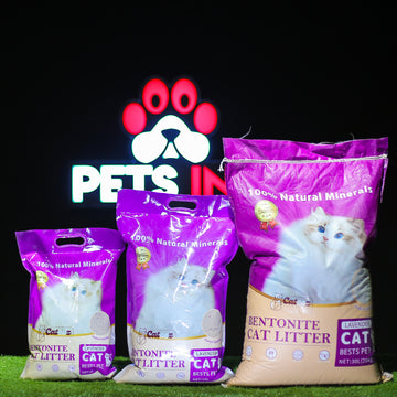 Cateez Cat Litter High‑Quality Bentonite Lavender