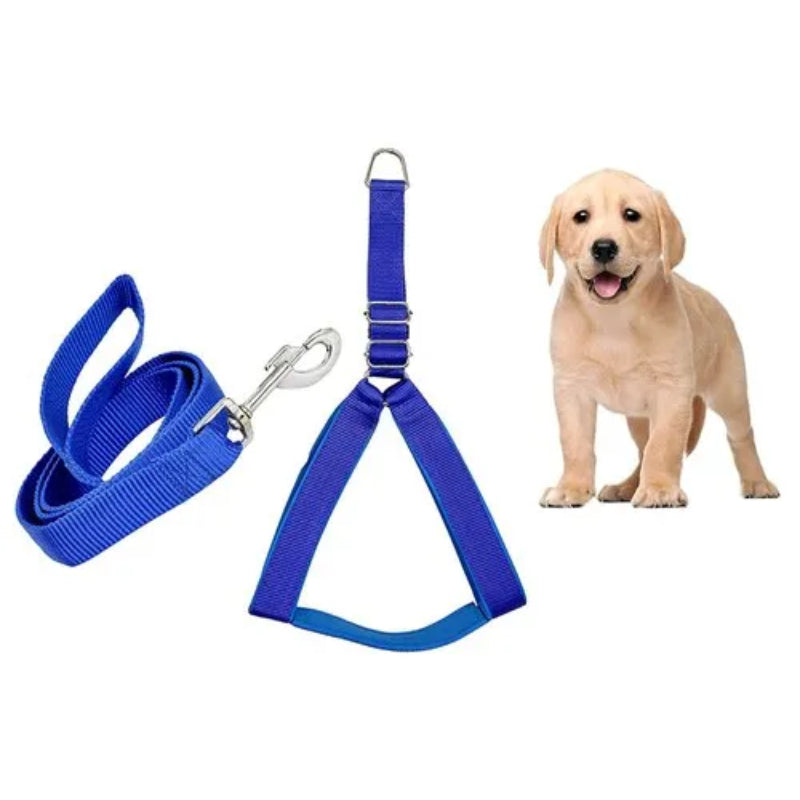 Leash & Harness High Quality for Dogs