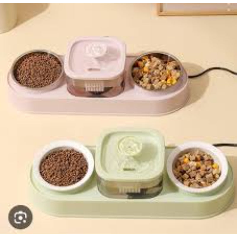 Water Fountain with Double Bowl