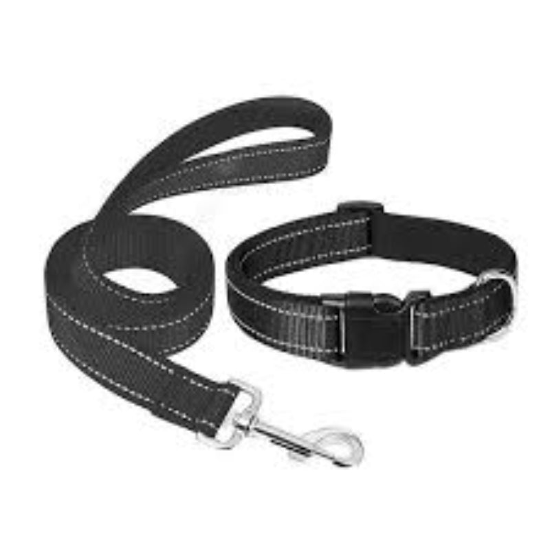 Leash & Collar for Dogs