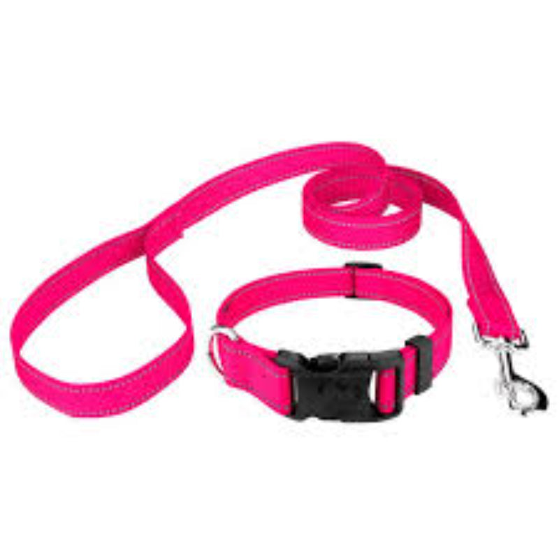 Leash & Collar for Dogs